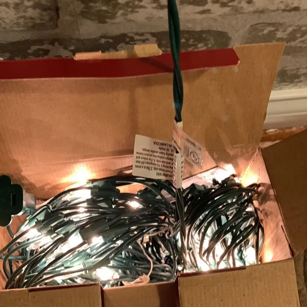 WonderShop indoor/outdoor clear net lights. 150 lights 4’X6’